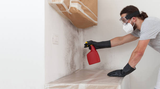 Professional Mold Testing technician working in Fairview, GA